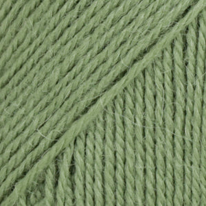 07 - FERN
