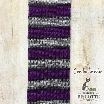Biscotte Yarns, Pure Self-Striping, 90% Wool 10% Silk, DK Weight