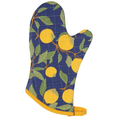 Oven Mitt, Set of 2, By Danica Designs